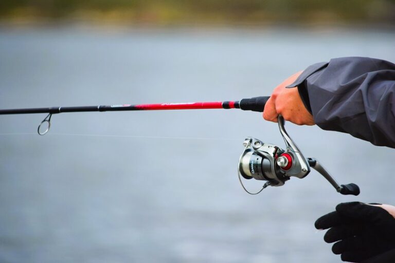 basics of river fishing