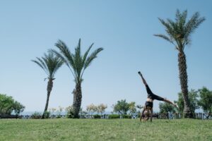 cardio strength low impact workout