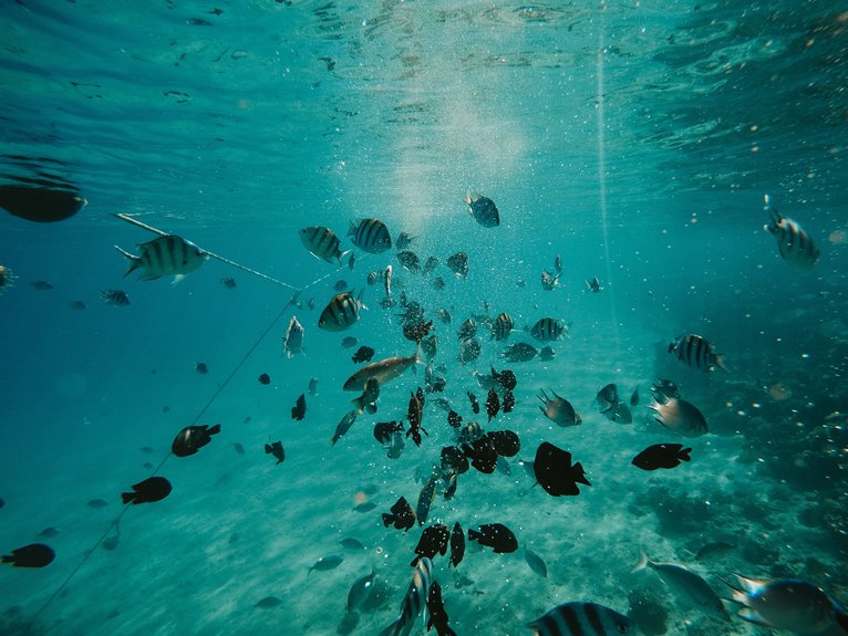 fish migrate deeper for warmth