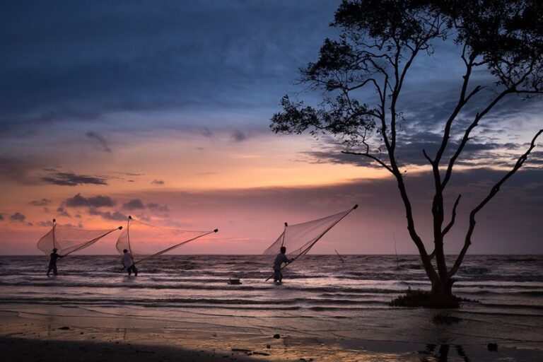 fishing peaks at twilight