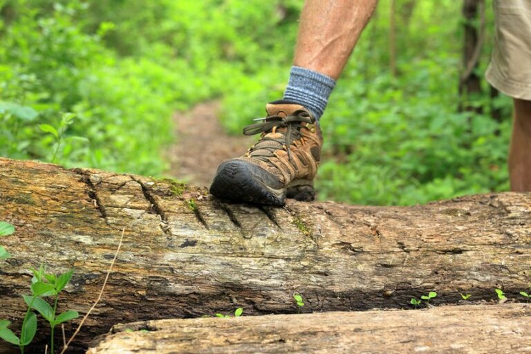 fit support traction durability