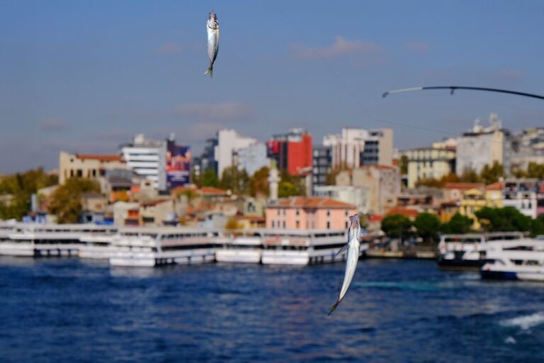 freshwater versus saltwater angling