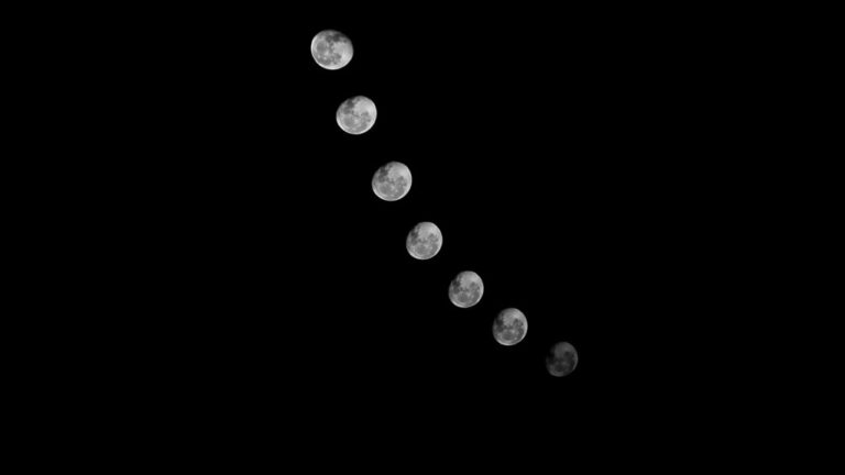 moon phases influence catch rates