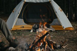prevent wildlife encounters while camping