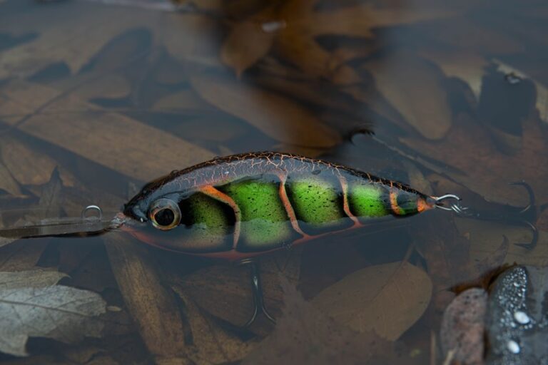 seasonal angling behavior patterns
