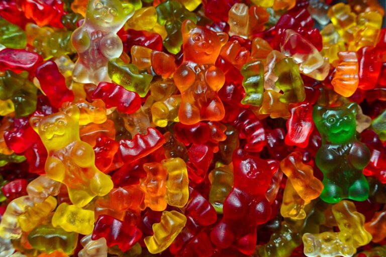 secure food in bear resistant containers