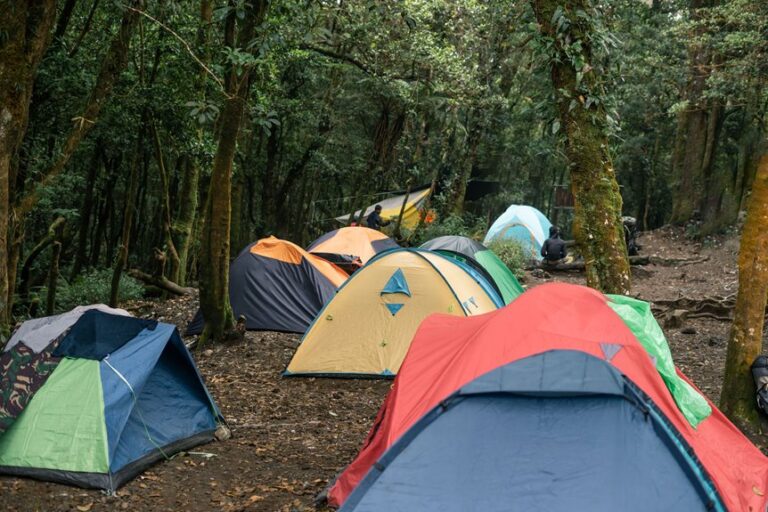 selecting the perfect camping tent