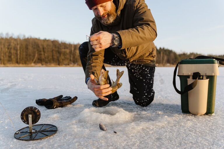 temperature driven fish activity changes