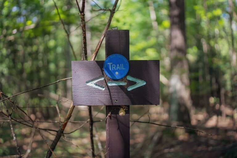 understanding trail markers and signs