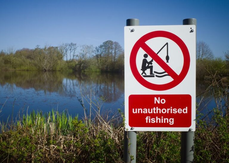 wear life jacket always